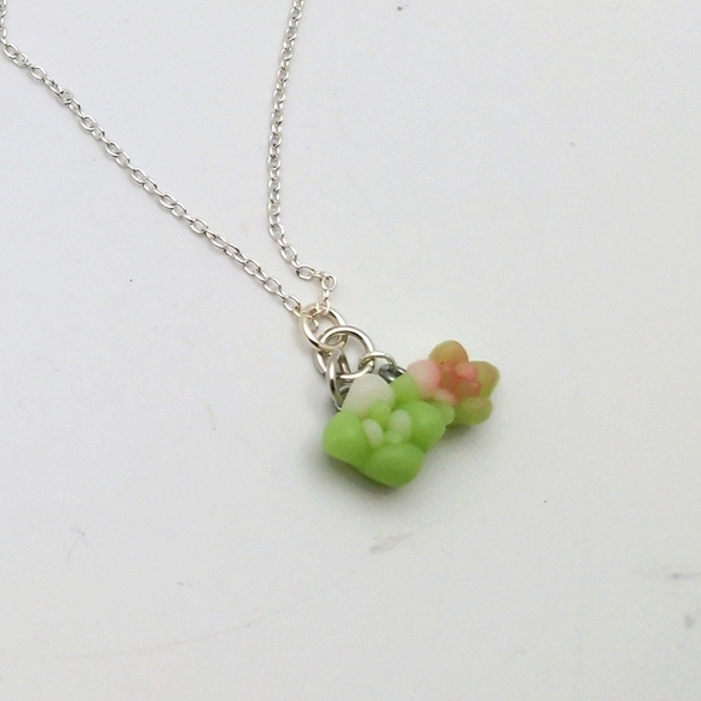 Mini Succulent Necklace with Silver Chain